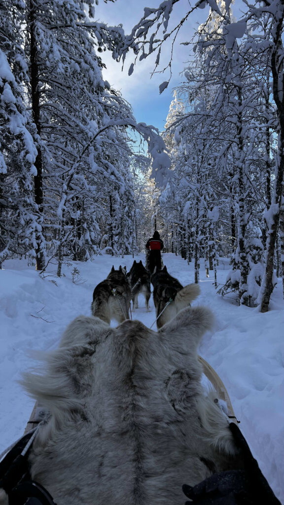 attività in Lapponia finlandese
